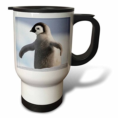 3dRose Baby Penguin Travel Mug, 14-Ounce, Stainless Steel - Image 2