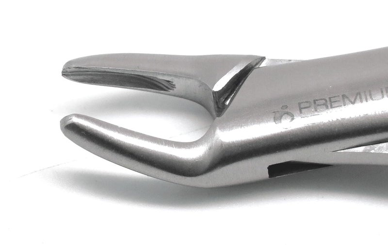 Premium Instruments 2 Pcs Dental Extracting Forceps 150s & 151s Upper Lower Molars Incisors Surgical Instruments - Image 4