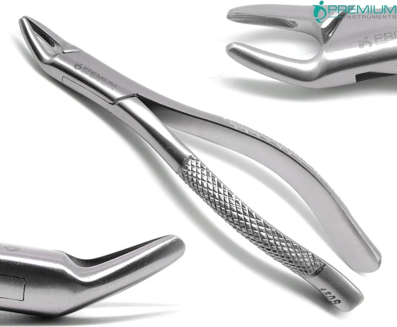 Premium Instruments 2 Pcs Dental Extracting Forceps 150s & 151s Upper Lower Molars Incisors Surgical Instruments - Image 2