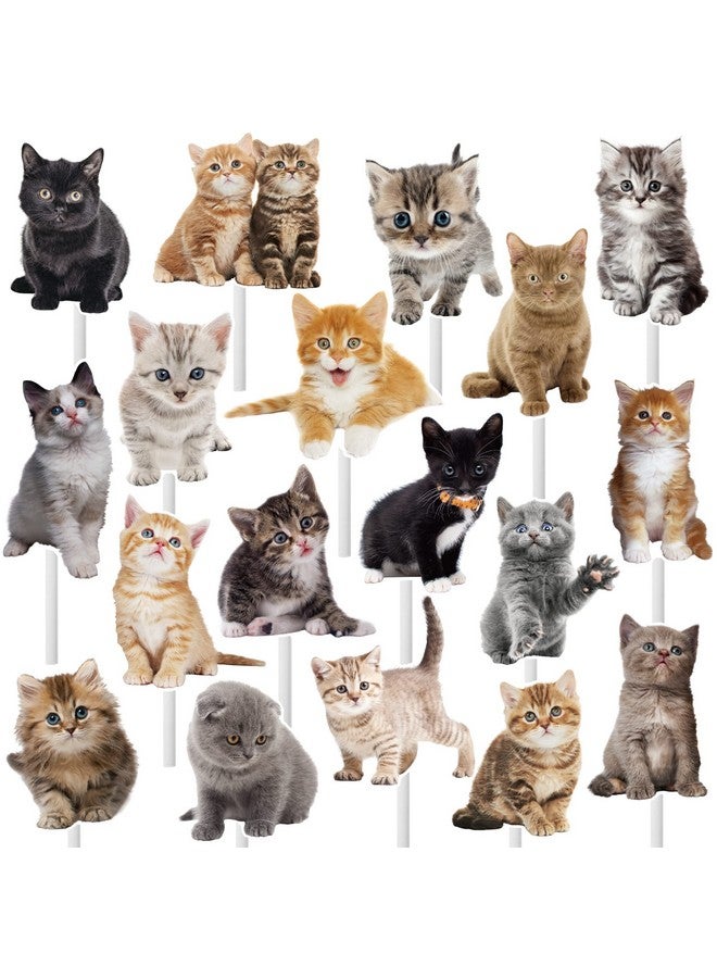 اوموني 36 قطعة من زينة كب كيك على شكل قطة صغيرة لطيفة لتزيين حفلات أعياد الميلاد والقطط الصغيرة ومستلزمات حفلات استقبال المولود - Image 1