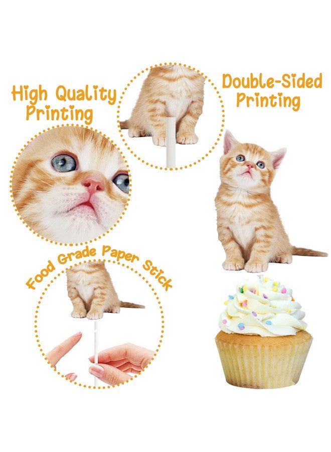 اوموني 36 قطعة من زينة كب كيك على شكل قطة صغيرة لطيفة لتزيين حفلات أعياد الميلاد والقطط الصغيرة ومستلزمات حفلات استقبال المولود - Image 3