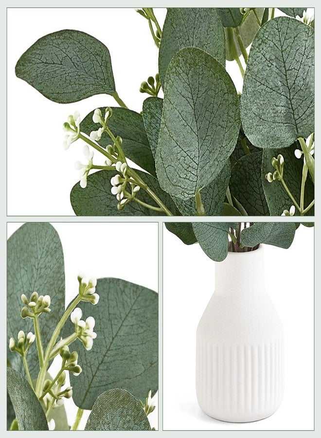 داهي أغصان أوكالبتوس اصطناعية من داهي في مزهرية سيراميك صغيرة، قطعة مركزية لتزيين الطاولة، ديكور ريفي عصري، نباتات أوكالبتوس صناعية مع مزهرية للحمام والمطبخ ورفوف غرفة المعيشة، ديكور منزلي، أبيض - Image 5