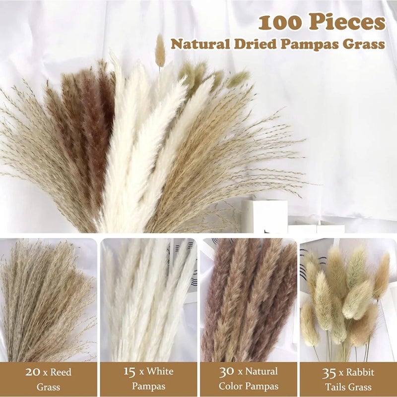 Bluejw G44 Natural Dried Pampas Grass Decor - Small Composable Dried Plants for Christmas, Wedding, Home Flower Arrangements - Image 3