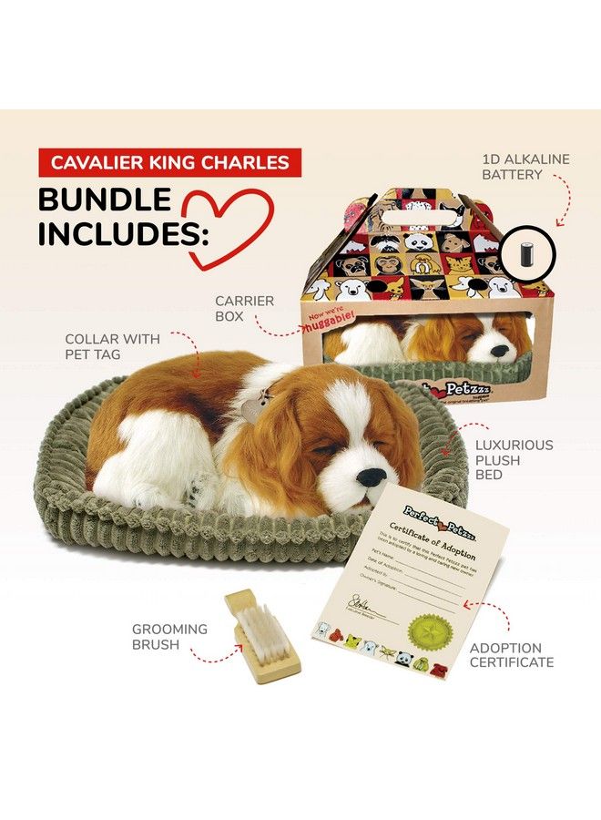 Perfect Petzzz Original Petzzz Cavalier King Charles Realistic Lifelike Stuffed Interactive Pet Toy Companion Pet Dog With 100% Handcrafted Synthetic Fur Perfect Petzzz - Image 3
