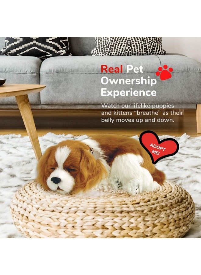 Perfect Petzzz Original Petzzz Cavalier King Charles Realistic Lifelike Stuffed Interactive Pet Toy Companion Pet Dog With 100% Handcrafted Synthetic Fur Perfect Petzzz - Image 5