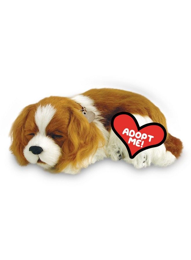 Perfect Petzzz Original Petzzz Cavalier King Charles Realistic Lifelike Stuffed Interactive Pet Toy Companion Pet Dog With 100% Handcrafted Synthetic Fur Perfect Petzzz - Image 2