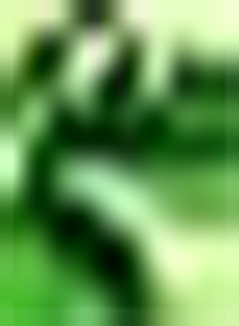 GGOOT 200pcs Mimosa Seeds Suitable for Hanging on Balconies Has Garden Value Let People Relax Reflect The Home Courtyard Style - Image 1