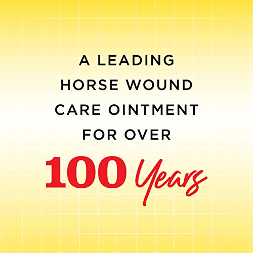 Corona Manna Pro Corona Ointment for Horses | Lanolin-Based Formula Helps Sooth Irritation | 14 Ounces - Image 2