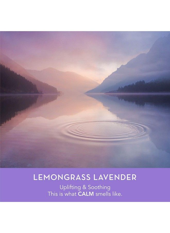 DANI Natural Moisturizing Liquid Handwash Naturals Calming Lemongrass Lavender Scented Gentle Soap With Organic Aloe Vera 12 Ounce Bottle Pump Dispenser - Image 5