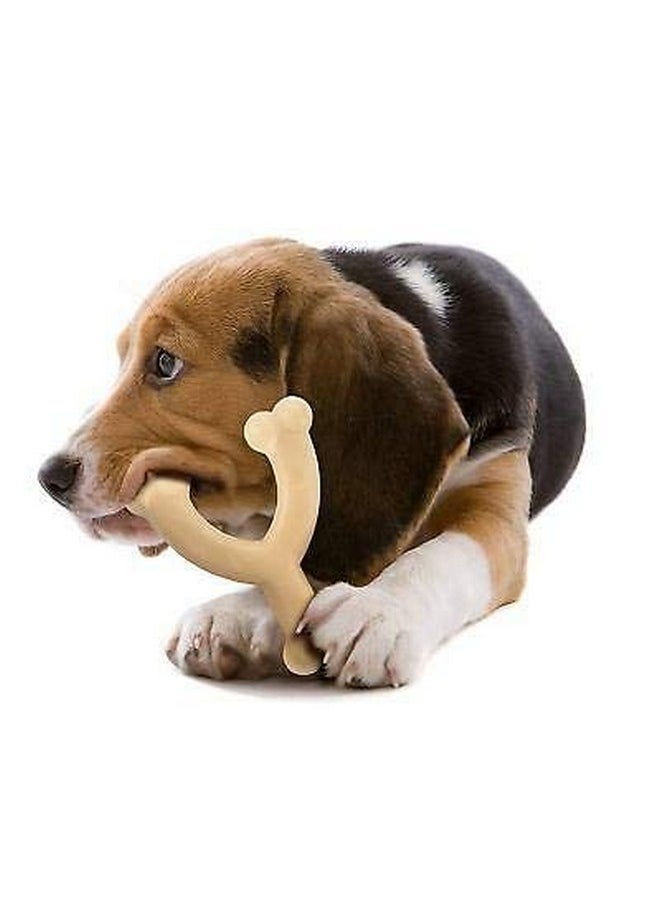 Nylabone Dura Chew Regular Original Flavored Wishbone Dog Chew Toy (2 Pack)  - Image 3