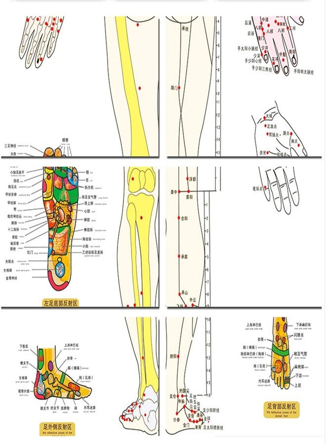 Zzooi Set of 2 Human Body Acupuncture Point Map, Chinese Version - Image 4