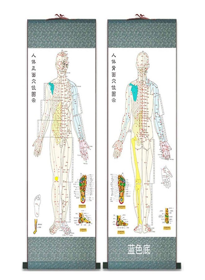 Zzooi Set of 2 Human Body Acupuncture Point Map, Chinese Version - Image 1