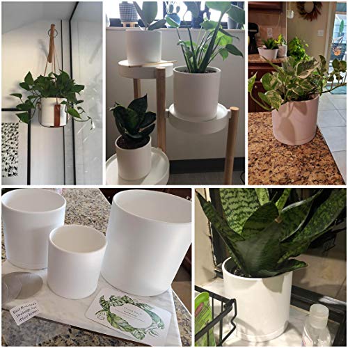 D'vine Dev 4 Inch 5 Inch 6 Inch, Set of 3 Plastic Planter Pots for Plants with Drainage Hole and Seamless Saucers, White Color, Small, 74-V-A-1 - Image 4