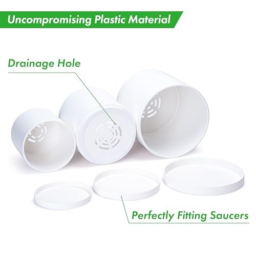 D'vine Dev 4 Inch 5 Inch 6 Inch, Set of 3 Plastic Planter Pots for Plants with Drainage Hole and Seamless Saucers, White Color, Small, 74-V-A-1 - Image 3