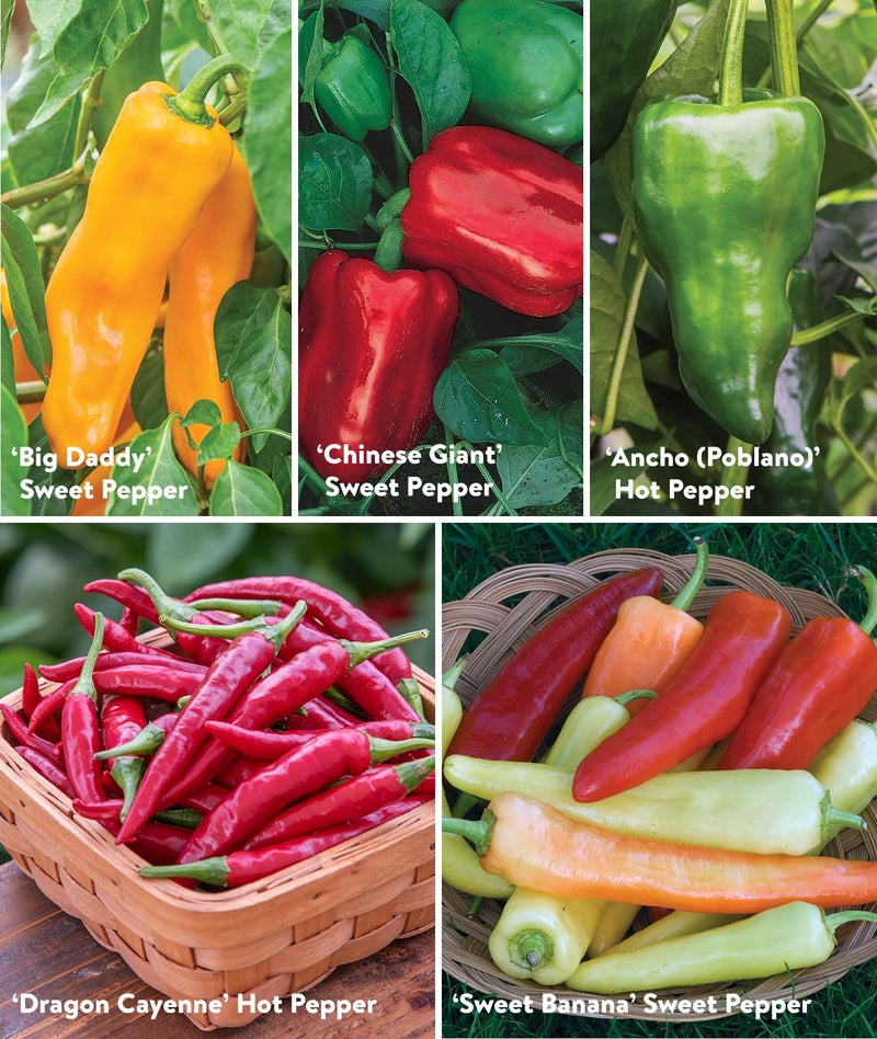 Burpee Best Collection | 10 Packets of Non-GMO Fresh Mix of Hot Pepper & Sweet Varieties | Jalapeno, Bell Pepper Seeds & More, Seeds for Planting - Image 4