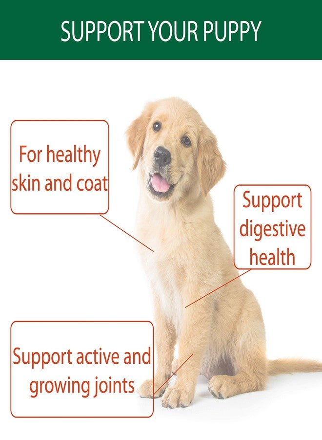 Stance Natural Turmeric Powder for Dogs with Powdered Coconut Oil - Turmericle Anti-Inflamatory Dog Supplement for Healthy Hip & Joint Function - Normal Skin Health (1 Pack) - Image 4