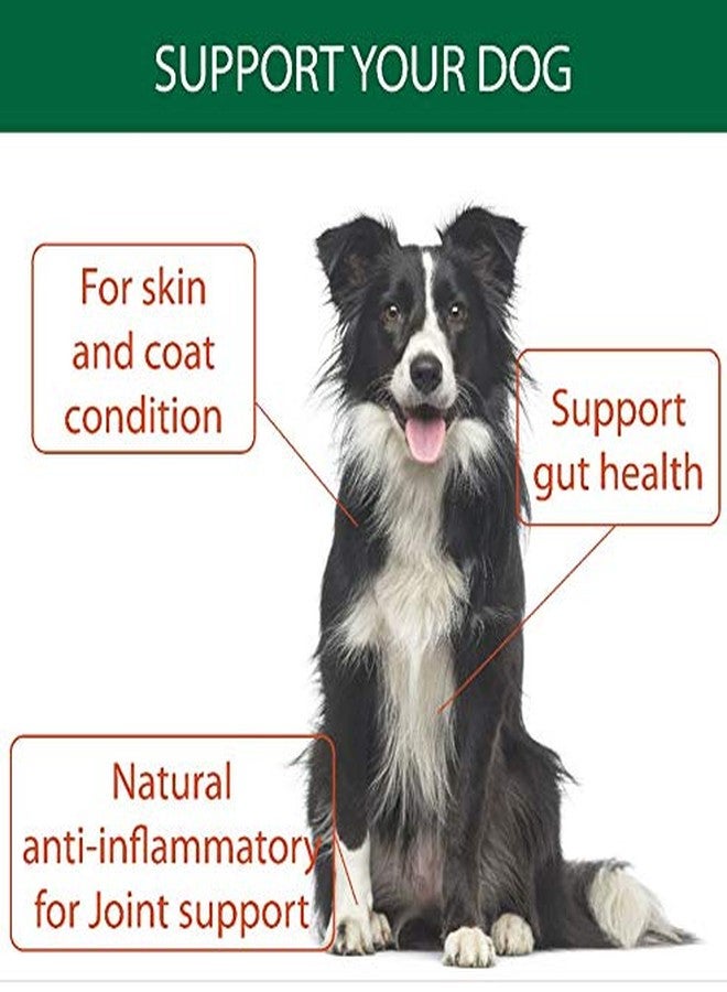 Stance Natural Turmeric Powder for Dogs with Powdered Coconut Oil - Turmericle Anti-Inflamatory Dog Supplement for Healthy Hip & Joint Function - Normal Skin Health (1 Pack) - Image 5