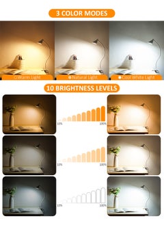LOOPITYS Reading Light, USB Clamp Lamp for Child Reading Book in Bed at Night, LED Small Desk Lamp with Adjustable Gooseneck Clip on Beside Table for Studying Working Drafting Sewing  - Image 2