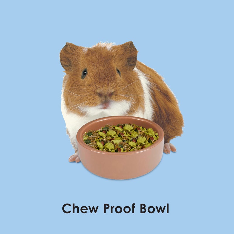 Kaytee Stoneware Ceramic Pet Hamster Bowl, Brown, 3-Inch - Image 3