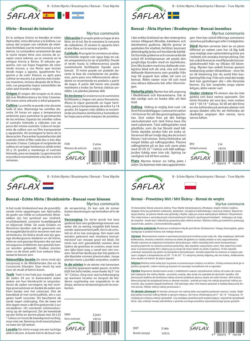 جي جوت بونساي - الآس الحقيقي - 30 بذرة - مع التربة - الآس الشائع - Image 4