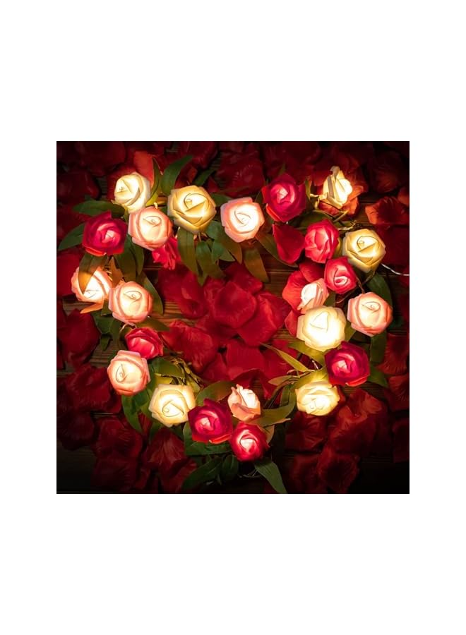 The Bros 20 قطعة من أضواء سلسلة الزهور الوردية الرومانسية، أضواء LED تعمل بالبطارية باللون الأحمر والوردي والأبيض، 10 أقدام من الزينة لعيد الميلاد، أضواء الجنية الوردية (3م، 20 ضوء) لعيد الحب وزفاف الديكور الداخلي والخارجي. - Image 3