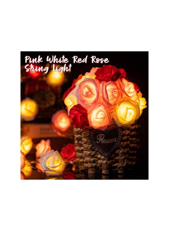 The Bros 20 قطعة من أضواء سلسلة الزهور الوردية الرومانسية، أضواء LED تعمل بالبطارية باللون الأحمر والوردي والأبيض، 10 أقدام من الزينة لعيد الميلاد، أضواء الجنية الوردية (3م، 20 ضوء) لعيد الحب وزفاف الديكور الداخلي والخارجي. - Image 5
