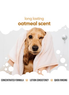 Buddy Oatmeal Dog Conditioner 500ml Made with Aloe Vera Argan Oil and Pro Vitamin B5 to Detangle Matted Coats and Relieve Sensitive and Itchy Skin Suitable for Puppies from 8 Weeks Vegan Formula  - Image 5