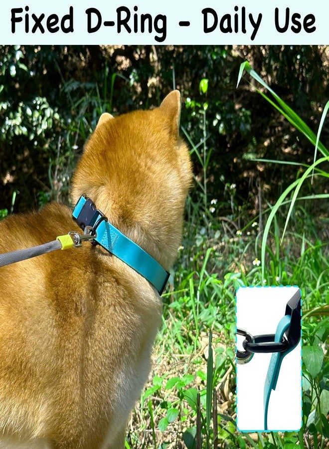 Qiaosite Waterproof Dog Collar, Odor-Proof and Easy to Clean Rubber Dog Collars No Pull Fits Small Medium Large Dogs Training (Mint Green, Small (9.45”-14.17”)) - Image 4