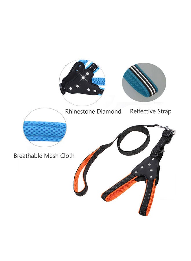 Loquat Non Adjustable Chest Strap For Pet Orange/Black - Image 5