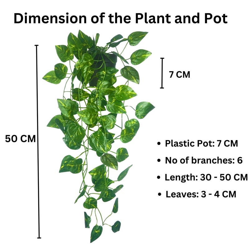 Tdas Plastic Artificial Plants With Pot Leaves Hanging Ivy Garlands Plant Greenery Vine Creeper Home Decor Door Wall Balcony Decoration Party 50 Cm 2 Pcs Money Plants - Image 2