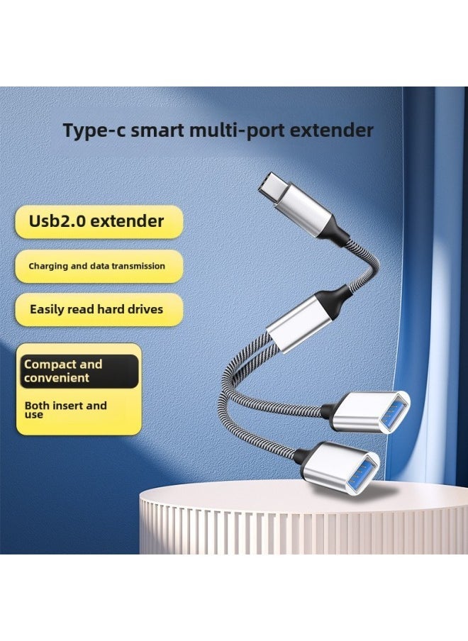 Usb Extender Charging Splitter Typec Expansion Dock Usb Flash Disk Multi-port Hub Suitable For Apple 15-Number Of Interfaces:type-c To Dual Usb Interface (Silver) - Image 1