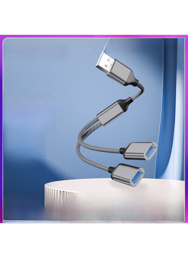 Usb Extender Charging Splitter Typec Expansion Dock Usb Flash Disk Multi-port Hub Suitable For Apple 15-Number Of Interfaces:type-c To Dual Usb Interface (Silver) - Image 2