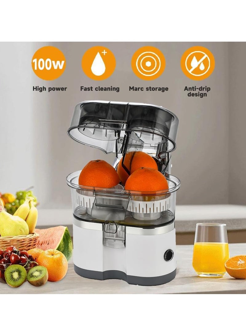 DubaiGallery Dual-Head Electric Citrus Juicer, Lemon Squeezer with Power Cord and Cleaning Brush, 1-Button Automatic Juicer Machine for Orange, Lemon, Lime, Easy to Clean & Use, Built-in Cutter  - Image 4