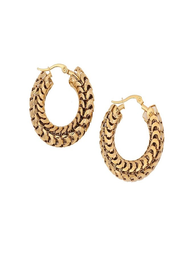 AMAAL Earrings for Women Girls | Anti tarnish Gold Hoops | Studs | Ear Tops | Trendy | Fancy | Stylish | Aesthetic Jewellery | Accessories for Everyday Wear Ear rings Stainless steel Korean design - Image 1
