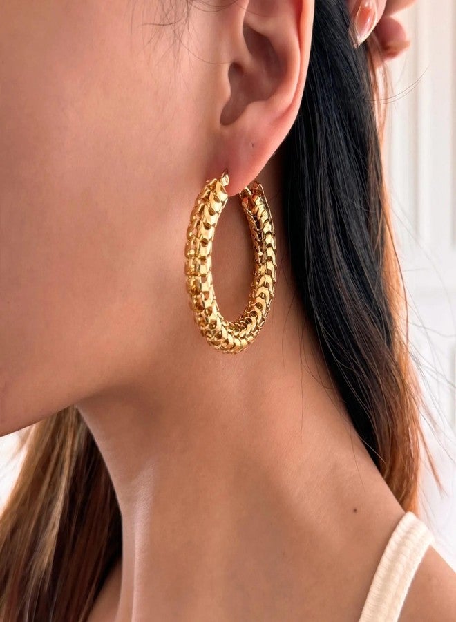 AMAAL Earrings for Women Girls | Anti tarnish Gold Hoops | Studs | Ear Tops | Trendy | Fancy | Stylish | Aesthetic Jewellery | Accessories for Everyday Wear Ear rings Stainless steel Korean design - Image 2