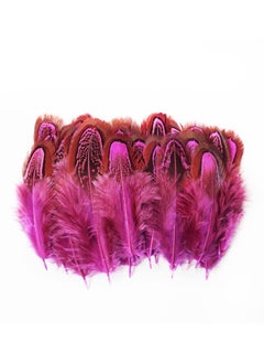 Y&D 100 pcs Natural Pheasant Plumage Feathers 2-4 Inches for Sewing Crafts Clothing Decorating Accessories - Dark Pink  - Image 1