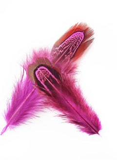 Y&D 100 pcs Natural Pheasant Plumage Feathers 2-4 Inches for Sewing Crafts Clothing Decorating Accessories - Dark Pink  - Image 2
