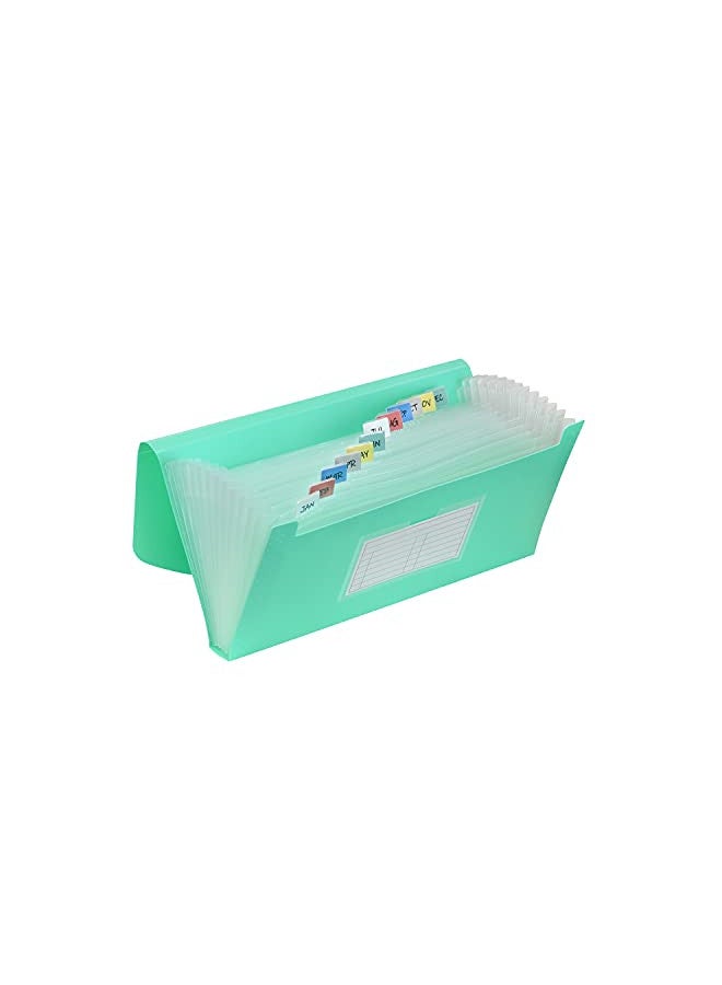 C-Line C-Line 13-Pocket Poly Expanding File, 10 x 5 Inches, Junior Size for Receipts and Checks, Includes Tabs, 1 File, Color May Vary (58710)  - Image 1