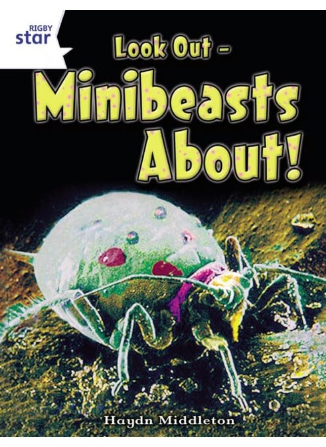 Rigby Star Independent Year 2 Non Fiction: Tiny Creatures 