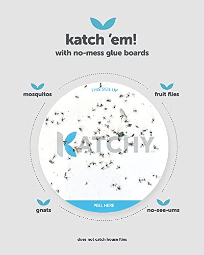 Katchy Duo Glue Board Refills (8 Pack) – Catcher & Killer for Mosquito, Gnat, Moth & Fruit Fly – Indoor Flying Insect Trap Glue Board Refills – Non-Zapper Traps for Buzz-Free Home - Image 3
