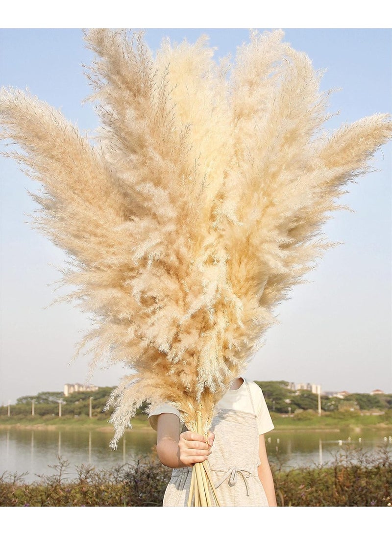 LATIFA Flowers set of 10 Dried Pampas Grass Decor Tall, Large Pompas Grass, Boho Neutral Home Decor Bouquet, Fluffy Pampass Grass for Floor Vase Wedding Floral Arrangements Wall Farmhouse Table Decor - Image 3