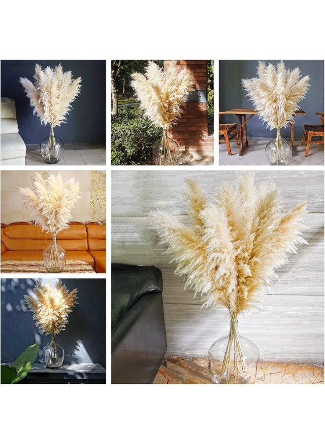 LATIFA Flowers set of 10 Dried Pampas Grass Decor Tall, Large Pompas Grass, Boho Neutral Home Decor Bouquet, Fluffy Pampass Grass for Floor Vase Wedding Floral Arrangements Wall Farmhouse Table Decor - Image 2