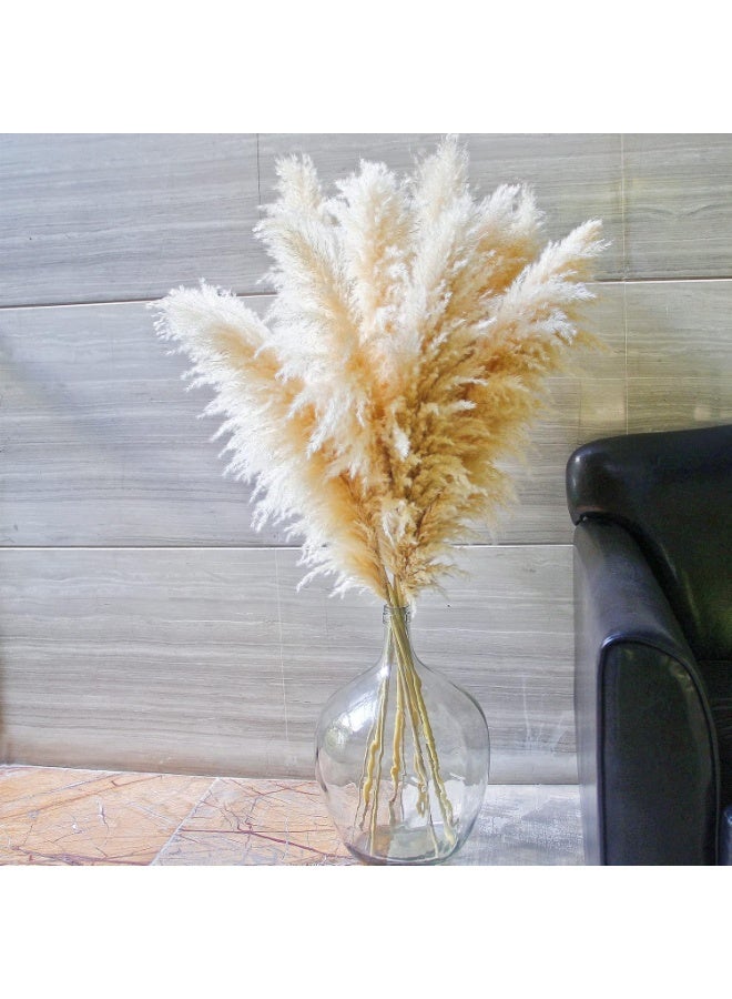 LATIFA Flowers set of 10 Dried Pampas Grass Decor Tall, Large Pompas Grass, Boho Neutral Home Decor Bouquet, Fluffy Pampass Grass for Floor Vase Wedding Floral Arrangements Wall Farmhouse Table Decor - Image 1