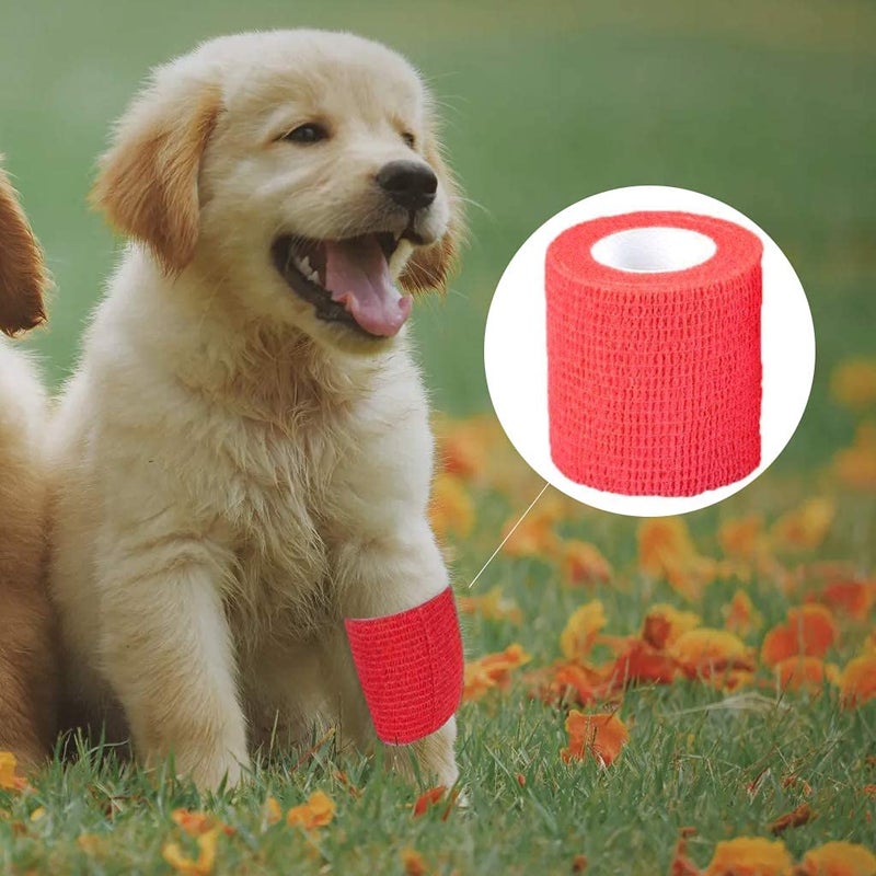 Qpets® ® 9 قطع ضمادات كريب لتثبيت الوشم وحماية الأظافر والأصابع غير المنسوجة ذاتية اللصق شريط كريب مرن قوي مجموعة شريط كينيسيوLOGY - Image 4