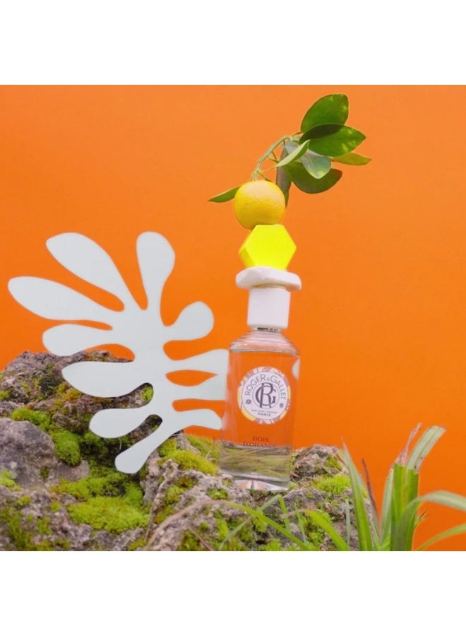 ROGER & GALLET Roger&Gallet Bois D'Orange Wellbeing Fragrant Water 100ml - Image 3