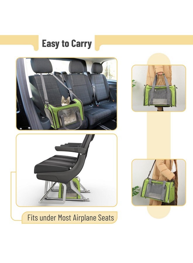 Mr. Pen- Pet Carrier for Cats & Dogs - Soft-Sided Travel Carrier Bag - Image 5