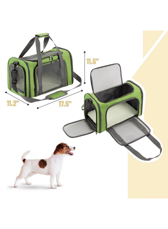 Mr. Pen- Pet Carrier for Cats & Dogs - Soft-Sided Travel Carrier Bag - Image 2