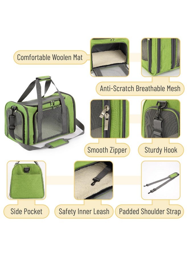 Mr. Pen- Pet Carrier for Cats & Dogs - Soft-Sided Travel Carrier Bag - Image 3