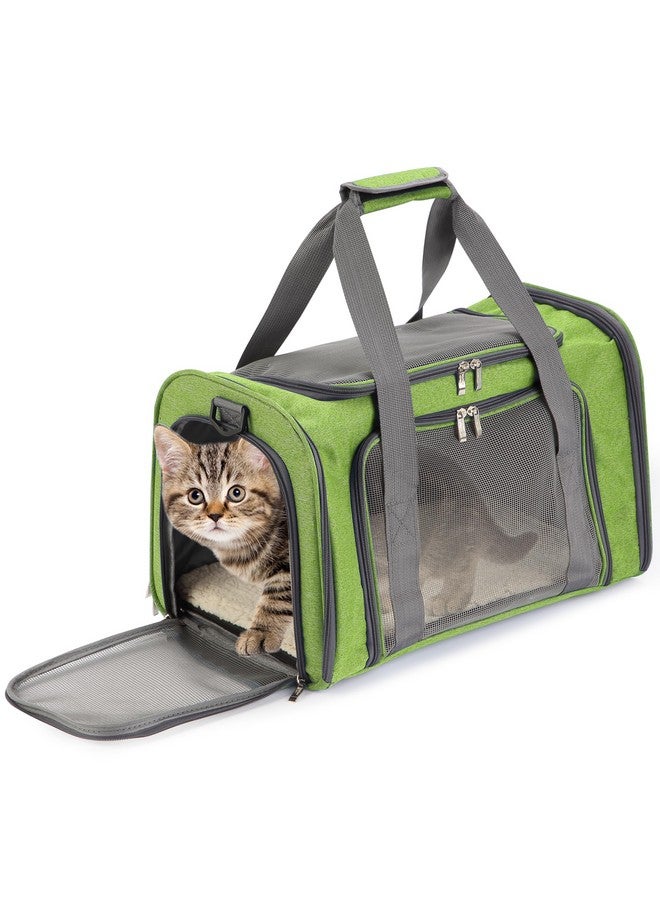 Mr. Pen- Pet Carrier for Cats & Dogs - Soft-Sided Travel Carrier Bag - Image 1