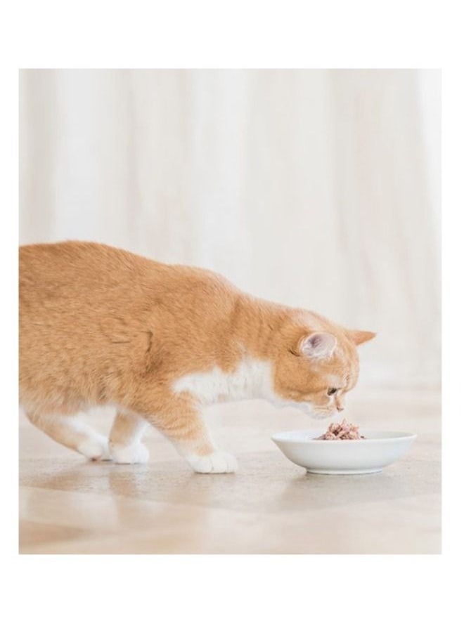 Schesir - Bio Chicken Cat Wet Food - Image 1